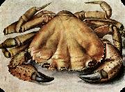 Albrecht Durer Lobster France oil painting artist